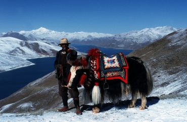 Bauer mit Yak am Yamdrok Tso