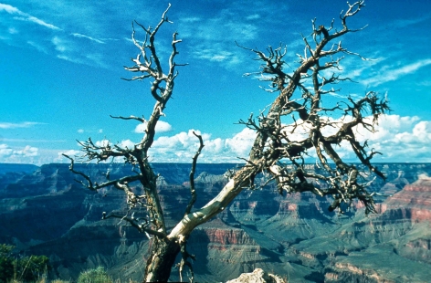 Grand Canyon, Arizona